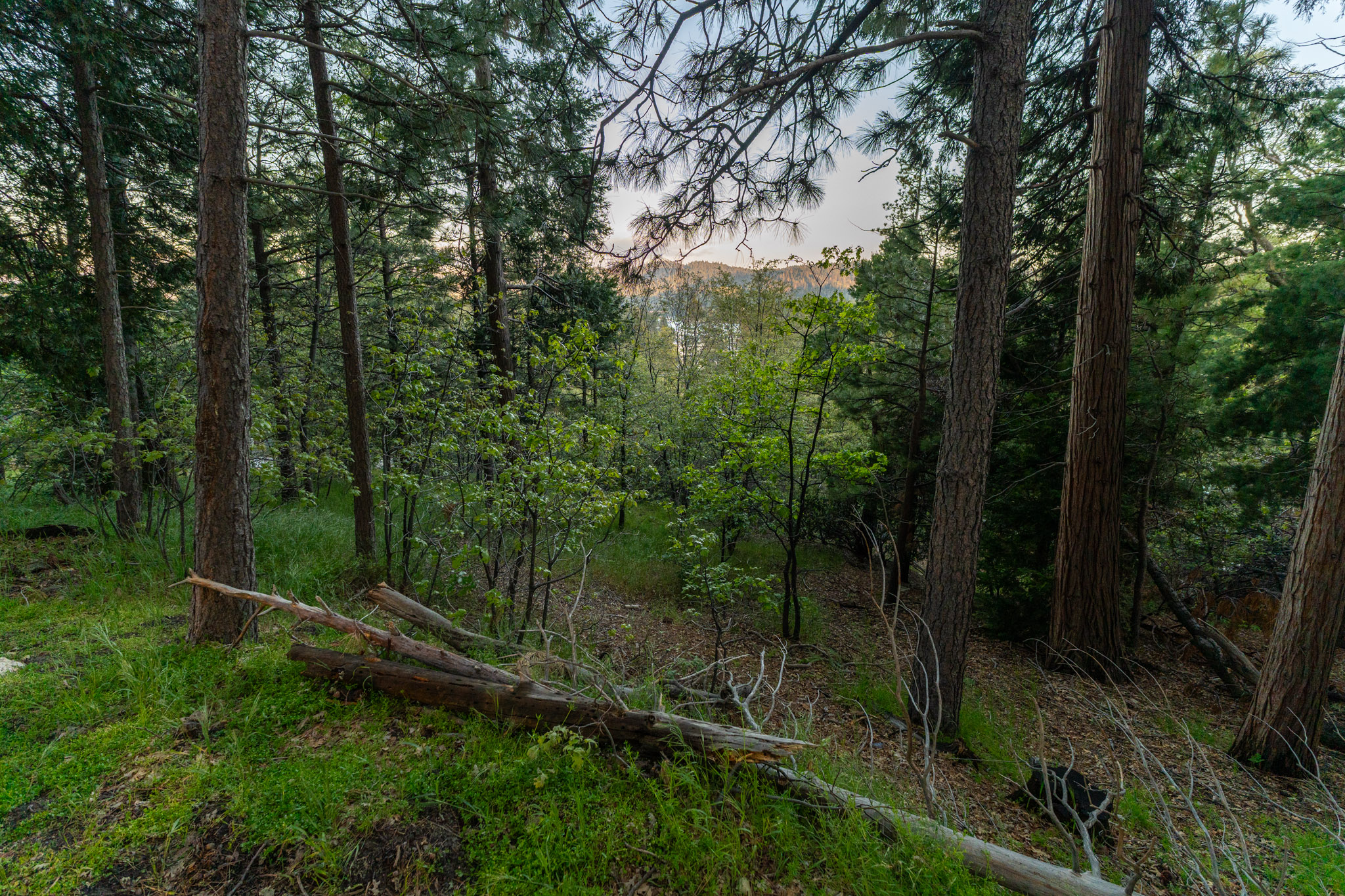 27488 North Bay Road